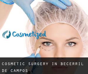 Cosmetic Surgery in Becerril de Campos