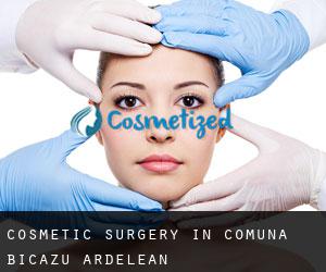 Cosmetic Surgery in Comuna Bicazu Ardelean