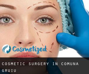 Cosmetic Surgery in Comuna Gruiu