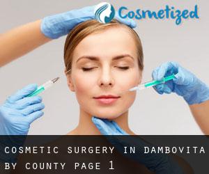 Cosmetic Surgery in Dâmboviţa by County - page 1