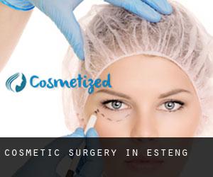 Cosmetic Surgery in Estèng