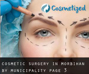 Cosmetic Surgery in Morbihan by municipality - page 3