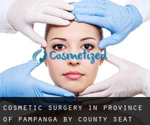 Cosmetic Surgery in Province of Pampanga by county seat - page 2