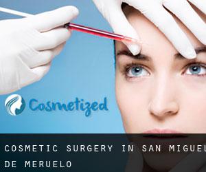 Cosmetic Surgery in San Miguel de Meruelo