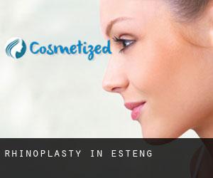 Rhinoplasty in Estèng