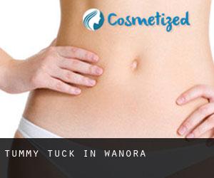 Tummy Tuck in Wanora