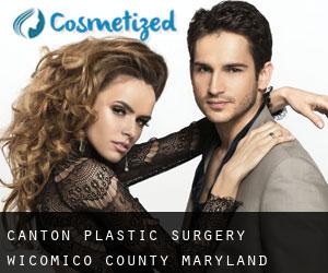 Canton plastic surgery (Wicomico County, Maryland)