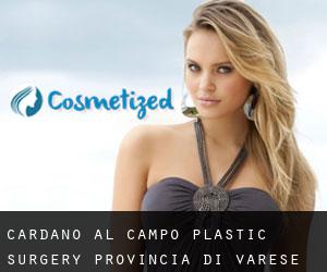 Cardano al Campo plastic surgery (Provincia di Varese, Lombardy)