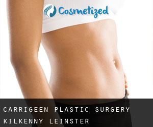 Carrigeen plastic surgery (Kilkenny, Leinster)