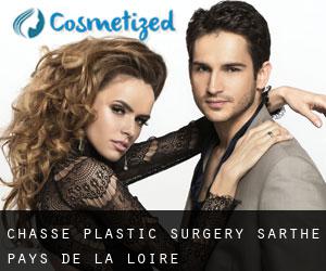 Chassé plastic surgery (Sarthe, Pays de la Loire)