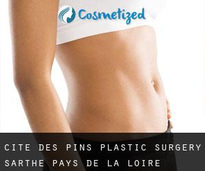 Cité-des-Pins plastic surgery (Sarthe, Pays de la Loire)