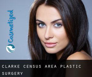 Clarke (census area) plastic surgery