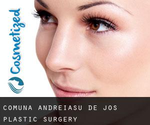 Comuna Andreiaşu de Jos plastic surgery