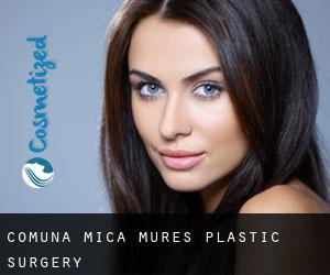 Comuna Mica (Mureş) plastic surgery