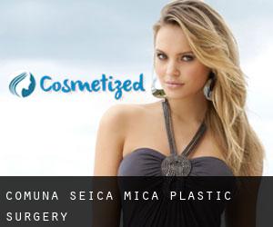 Comuna Şeica Mică plastic surgery