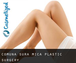 Comuna Şura Mică plastic surgery