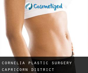 Cornelia plastic surgery (Capricorn District Municipality, Limpopo)