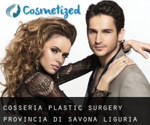 Cosseria plastic surgery (Provincia di Savona, Liguria)