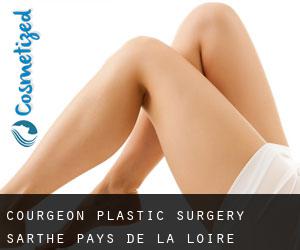 Courgeon plastic surgery (Sarthe, Pays de la Loire)