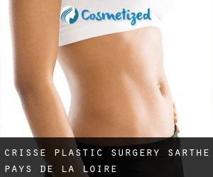 Crissé plastic surgery (Sarthe, Pays de la Loire)