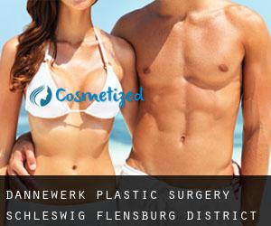 Dannewerk plastic surgery (Schleswig-Flensburg District, Schleswig-Holstein)