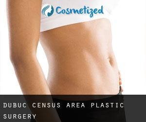 Dubuc (census area) plastic surgery