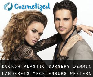 Duckow plastic surgery (Demmin Landkreis, Mecklenburg-Western Pomerania)