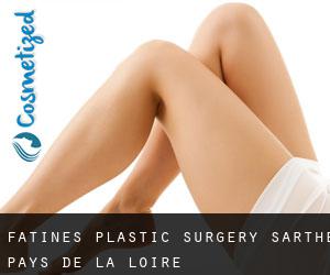 Fatines plastic surgery (Sarthe, Pays de la Loire)