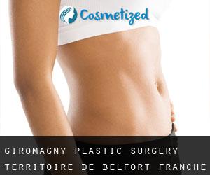 Giromagny plastic surgery (Territoire de Belfort, Franche-Comté)