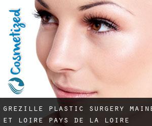 Grézillé plastic surgery (Maine-et-Loire, Pays de la Loire)