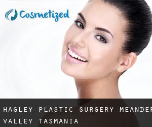 Hagley plastic surgery (Meander Valley, Tasmania)