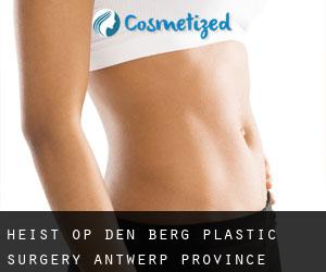 Heist-op-den-Berg plastic surgery (Antwerp Province, Flanders)