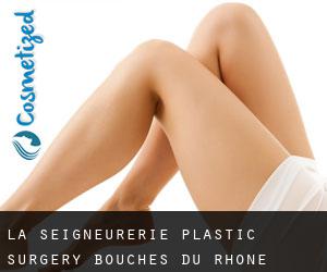 La Seigneurerie plastic surgery (Bouches-du-Rhône, Provence-Alpes-Côte d'Azur)