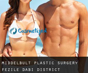 Middelbult plastic surgery (Fezile Dabi District Municipality, Free State)