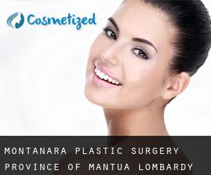 Montanara plastic surgery (Province of Mantua, Lombardy)