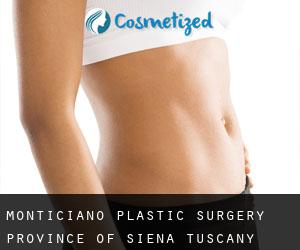 Monticiano plastic surgery (Province of Siena, Tuscany)