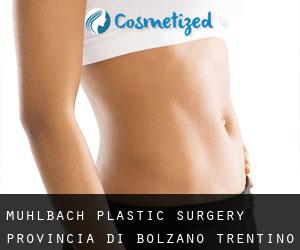 Mühlbach plastic surgery (Provincia di Bolzano, Trentino-Alto Adige)