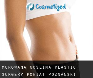 Murowana Goślina plastic surgery (Powiat poznański, Greater Poland Voivodeship)