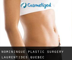 Nominingue plastic surgery (Laurentides, Quebec)