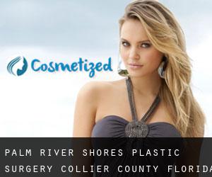 Palm River Shores plastic surgery (Collier County, Florida)