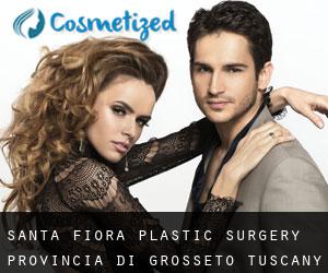Santa Fiora plastic surgery (Provincia di Grosseto, Tuscany)