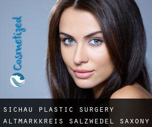 Sichau plastic surgery (Altmarkkreis Salzwedel, Saxony-Anhalt)