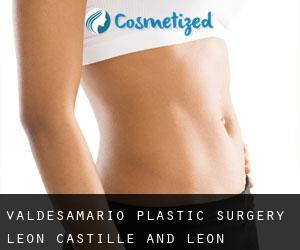 Valdesamario plastic surgery (Leon, Castille and León)