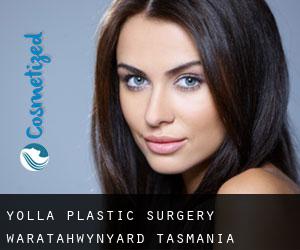 Yolla plastic surgery (Waratah/Wynyard, Tasmania)